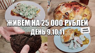 Живём на 25000 рублей в месяцЭкономное меню на семью из 4 человек [upl. by Hakceber160]