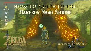 Breath of the Wild  Bareeda Naag Shrine Guide and Location [upl. by Eilyak]