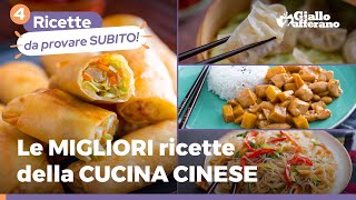 Le migliori ricette della CUCINA CINESE devi provarle tutte [upl. by Nyvek950]