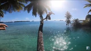 EXPLORING REMOTE PALMYRA ATOLL SWIMMING WITH SHARKS [upl. by Mahmud]