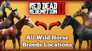 All Wild Horse Breed Locations in Red Dead Redemption 2 [upl. by Belva]