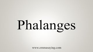 How To Say Phalanges [upl. by Haliled]