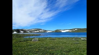 Hardangervidda 2020 [upl. by Saravat]