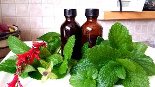 How to make Herbal Tincture [upl. by Ahsad]