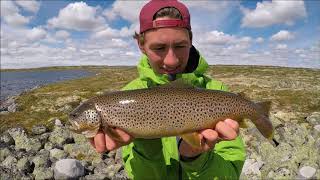 Fiske på Hardangervidda 2017 [upl. by Malachi]