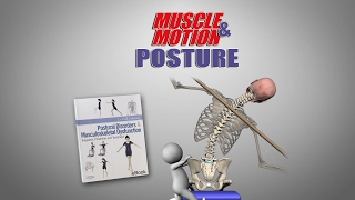 MuscleampMotion POSTURE [upl. by Eppesuig]