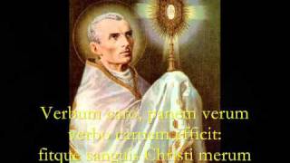 Pange Lingua Gloriosi  Catholic Hymns Gregorian Chant [upl. by Barhos832]