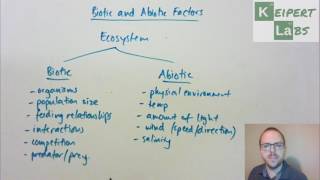 Biotic and Abiotic Factors [upl. by Iliam345]