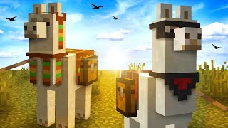 Everything You Need To Know About LLAMAS In Minecraft [upl. by Neeneg]