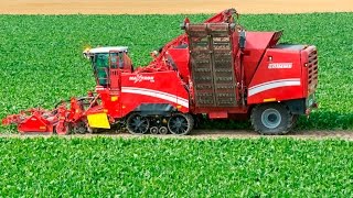 GRIMME MAXTRON 620  selfpropelled beet harvester [upl. by Ennaeerb]