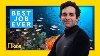 Marine Biologist David Gruber  Best Job Ever [upl. by Keily]