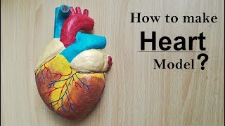 How to make Human Heart Model  Part 12 [upl. by Yaniv]