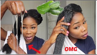 3 WAYS TO USE ALOE VERA FOR MASSIVE HAIR GROWTH  Aloe vera oil Prepoo amp Detangler  UPDATE [upl. by Nonnairb]