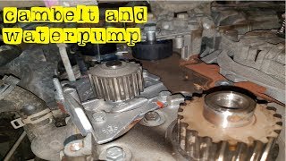 cambelt water pump on a ford kuga 20 diesel how to replace [upl. by Sadowski308]