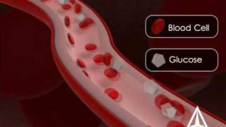 Diabetes Education  3D Medical Animation [upl. by Nnayt]