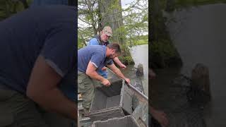 How to set wire nets for catfish [upl. by Fording987]