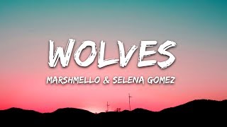 Selena Gomez Marshmello  Wolves Lyrics [upl. by Mathews432]