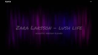 Zara Larsson  lush life acoustic version slowed Lyrics [upl. by Ilatfan]