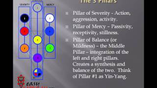 Tree of Life Basics [upl. by Hessler480]