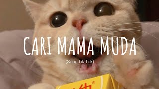 Cari Mama Muda  DJ VIRAL TERBARU remix  Vietsub  Lyric Song Tik Tok [upl. by Anibur480]