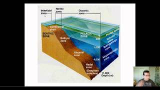 Ocean Life Part 2 Oceanic Environment Zones Review [upl. by Adnalor128]