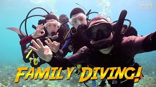 Family Diving in Bonaire We took the kids diving [upl. by Nabal696]