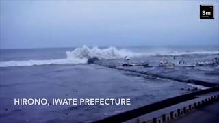 Primary substance Tohoku Earthquake and Tsunami Japan 2011 [upl. by Geer]