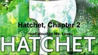 Hatchet by Gary Paulsen  Chapter 2 [upl. by Nitza718]