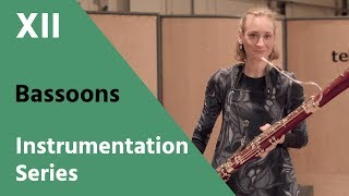 Bassoon and Contrabassoon  David Newman Instrumentation Series [upl. by Adnarem]