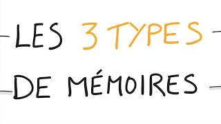 Neurosciences  Vos 3 Types de Mémoires [upl. by Reichel]