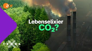 CO₂ Lebenselixier und Klimakiller  Terra X plus [upl. by Ettelegna]