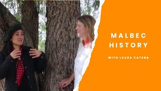 The history of Malbec in Argentina with Laura Catena [upl. by Lyndsay]