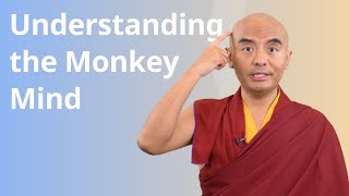 Understanding the Monkey Mind with Yongey Mingyur Rinpoche [upl. by Eibbor713]