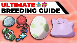 ULTIMATE Breeding Guide Perfect IVs EVs Natures Hidden Abilities  Pokémon Sword amp Shield [upl. by Sheryle591]