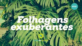 7 plantas com folhagens exuberantes [upl. by Annazus273]