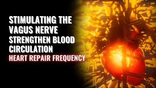 Stimulating The Vagus Nerve  Strengthen Blood Circulation  Heart Repair Frequency  VNS Therapy [upl. by Letha]