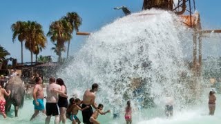 RANCHO TEXAS LANZAROTE PARK  EXCURSIONS LANZAROTE [upl. by Hendel]