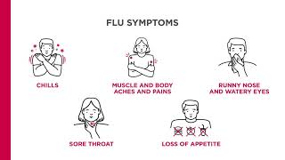 Influenza Infection  Clinical Symptoms and Presentation [upl. by Grosmark]