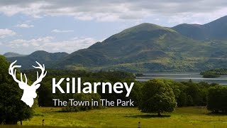 Visit Killarney  Official Destination Video [upl. by Suivat]