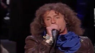 Roger Daltrey  Amazing JourneyPinball Wizard Live at Carnegie Hall 1994 [upl. by Mill31]