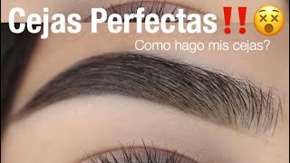 Cejas Perfectas Facil Paso a Paso  Monika Sanchez [upl. by Lytton]