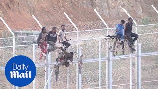 600 migrants reach Spain after storming border fence in Ceuta [upl. by Namsu872]