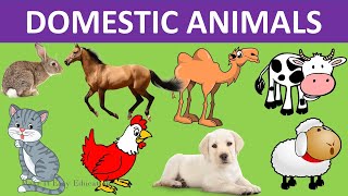 DOMESTIC ANIMALS  PET ANIMALS  FARM ANIMALS  CARE FOR ANIMALS  SCIENCE VIDEO FOR KIDS [upl. by Greenman]