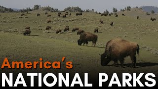 Americas 62 National Parks Explained [upl. by Hairem]