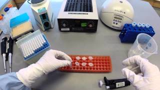 DNA Extraction Protocol  Part 1 [upl. by Oir]