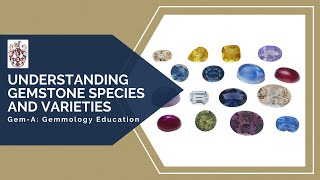 GemA Live Understanding Gemstone Species and Varieties [upl. by Aimaj]