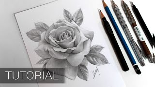 Tutorial  How to Draw a Realistic Rose [upl. by Kaz]