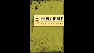 The Book Of Galatians  ESV [upl. by Burman]