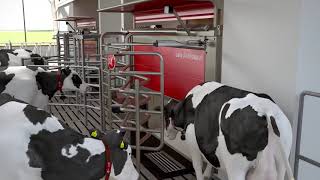 Lely Astronaut A5  The art of milking  version courte  FR [upl. by Raual]