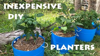 Inexpensive DIY Planters Made From Poly Barrels [upl. by Jerrome577]